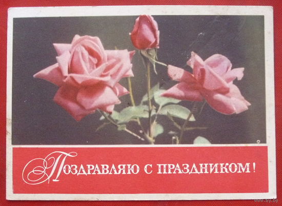 Поздравляю с Праздником Чистая. 1968 года. Егорова. 306.