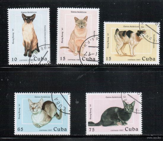Куба-1997,(Мих.3988-3992) гаш.,  Фауна, Кошки (полная серия)