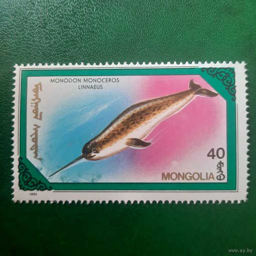 Монголия 1990. Фауна. Дельфины. Monodon Monoceros Linnaeus