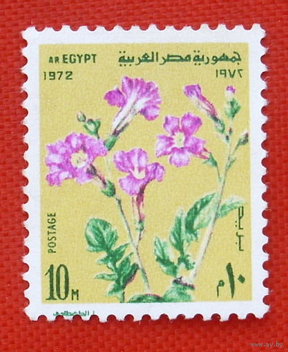 Египет. Цветы. ( 1 марка ) 1972 года.