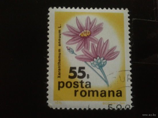 Румыния 1975 цветы