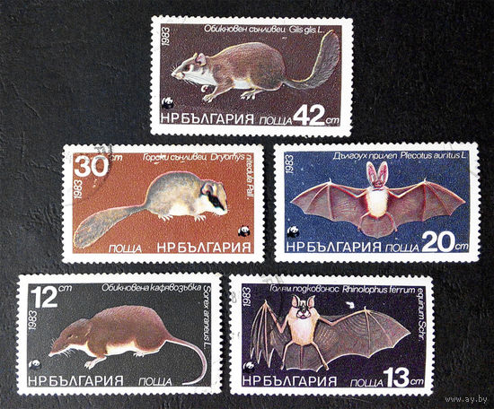 Болгария 1983 г. Грызуны. Летучие мыши. Фауна, полная серия из 5 марок #0073-Ф2P13