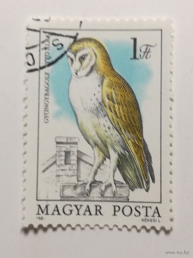 Венгрия 1984. Птицы под защитой - Совы