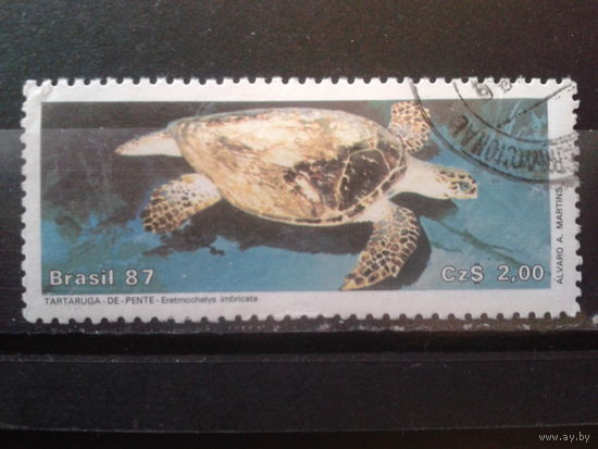 Бразилия 1987 Черепаха
