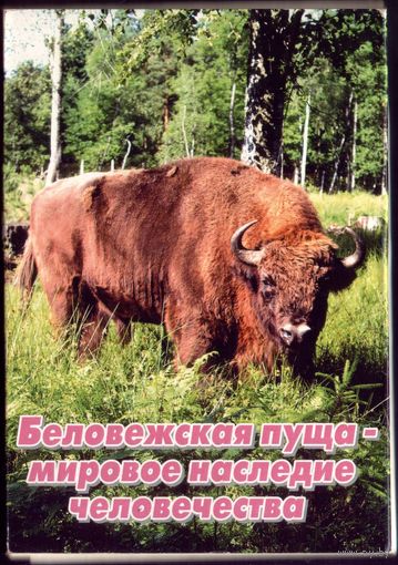 Комплект открыток Беловежская пуща (8 штук)