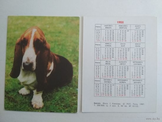 Карманный календарик. Бассет. 1988 год