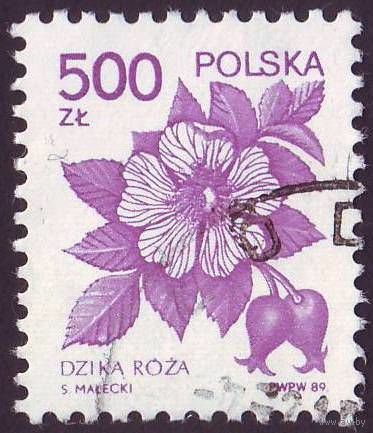 Лечебные растения Польша 1989 год 1 марка