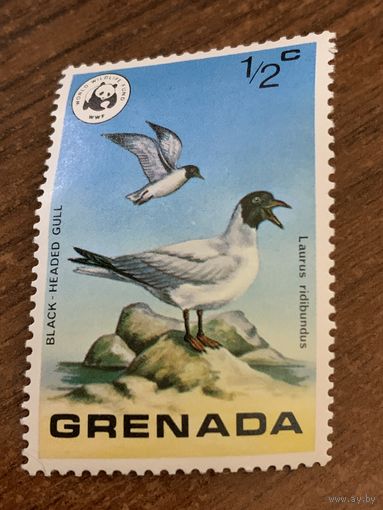 Гренада. Птицы. Laurus ridibundus. Марка из серии