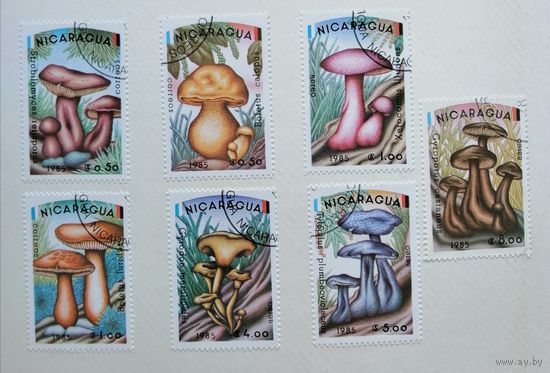 Никарагуа /1985/ флора - ГРИБЫ / Серия 7 марок