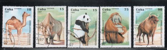 Куба-1997,(Мих.3996-4000) гаш.,  Фауна,(полная серия)