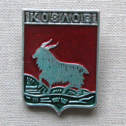 Значок герб города Козлов 16-38