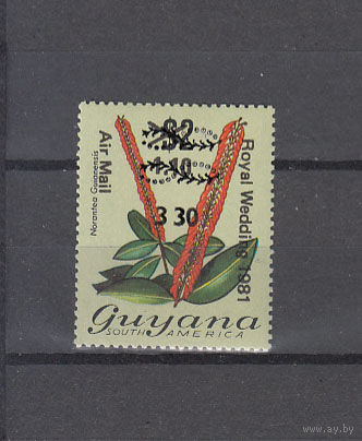 Королевская свадьба. Флора. Орхидеи. Гайана. 1982. 1 марка с надпечаткой и переоценкой. Michel N 789 (6,0 е)