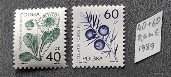 Польша: 2м/с флора, стандарт 1989