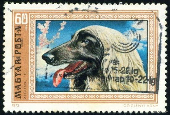 Борзые собаки Венгрия 1972 год 1 марка
