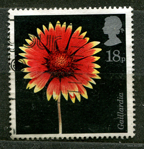 Цветы. Гайлардия остистая. 1987. Великобритания