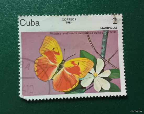 Марка Куба 1984 Бабочка