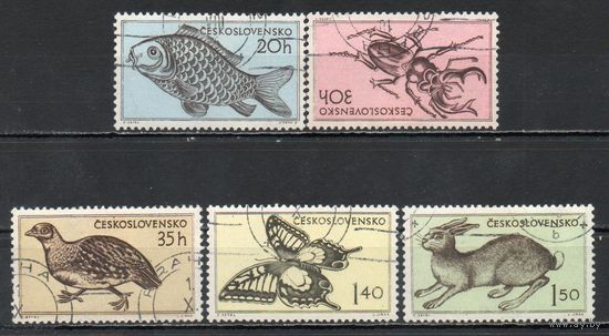 Фауна Чехословакия 1955 год серия из 5 марок