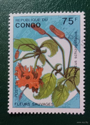 Конго 1993 Цветы