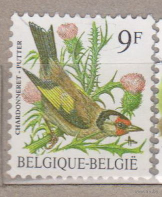 Птицы Фауна Бельгия 1985 год лот 1072