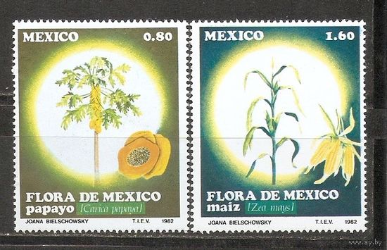 КГ Мексика 1982 Флора