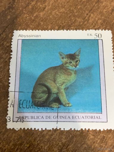 Экваториальная Гвинея 1976. Домашние кошки. Abyssinian. Марка из серии