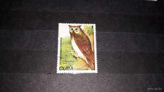 Сова Куба марка фауна