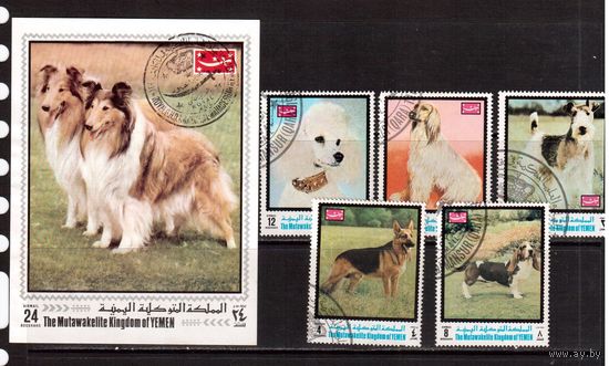 Йемен-1970, 5 м  + 1 б, гаш., Фауна(Собаки)