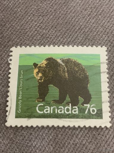 Канада 1976. Медведь Гризли