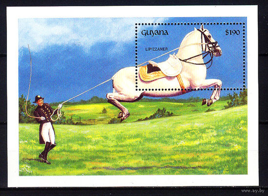 1992 Гайана. Лошади