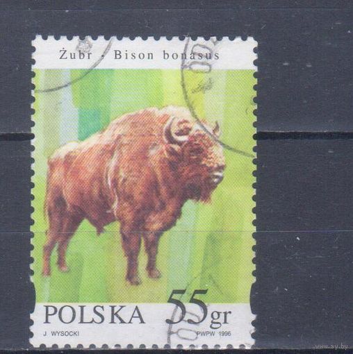 [2406] Польша 1996. Фауна.Зубр. Гашеная марка.