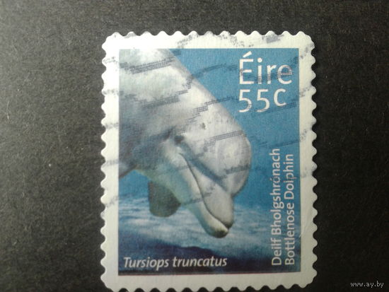 Ирландия 2009 дельфин