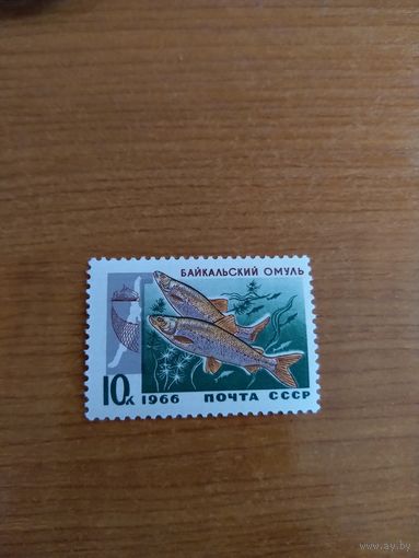 1966 СССР фауна рыбы  (сф2-4)