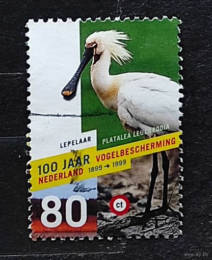 Нидерланды, 1м гаш, 100 лет защите птиц
