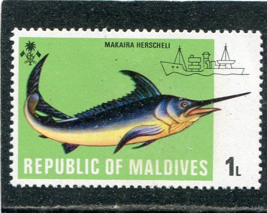 Мальдивы. Морская фауна