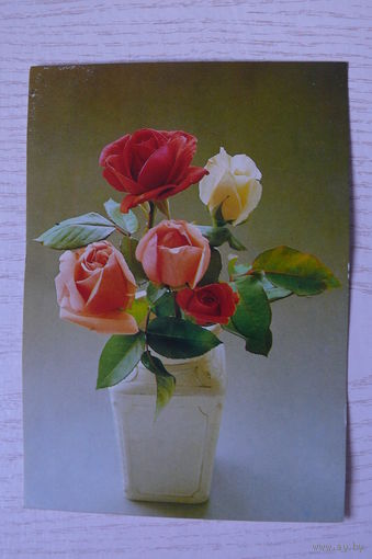 Букет роз; чистая (изд. Чехия).