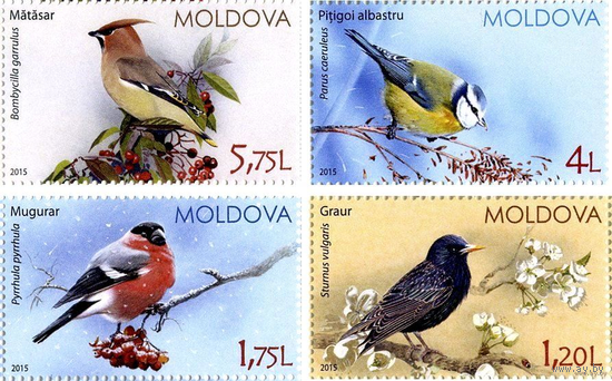 Молдова 2015, (559) Фауна. Птицы. Флора, 4 марки **