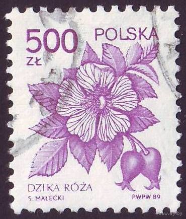 Лечебные растения Польша 1989 год 1 марка