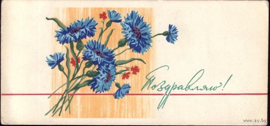 1965 год Е.Михельсон Поздравляю! Васильки