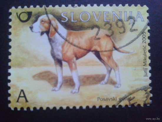 Словения 2005 собака