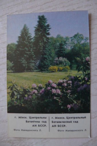 Календарик, 1987, Минск. Центральный Ботанический сад АН БССР.