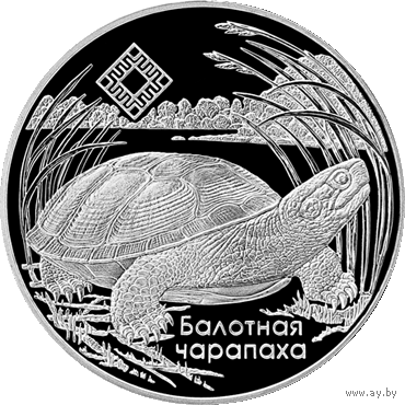 Болотная черепаха. Заказник "Средняя Припять".  20 рублей 2010 год.