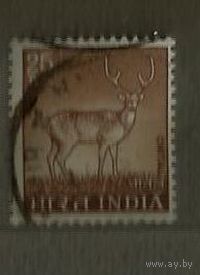 Индия 1974 Олень
