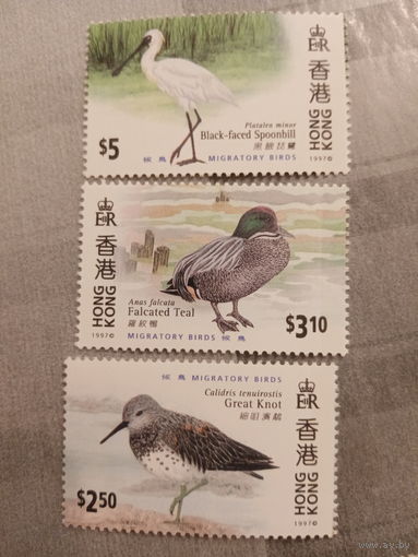 Китай. Гонк Конг 1997. Фауна. Птицы