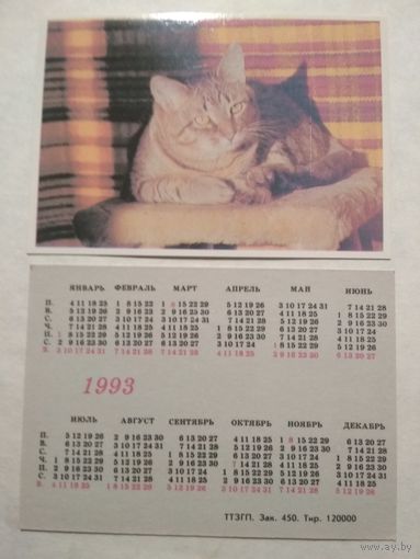 Карманный календарик. Котик. 1993 год