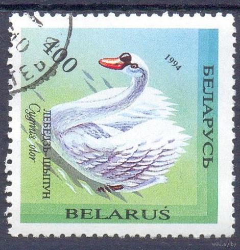 Беларусь 1994 фауна лебедь птицы