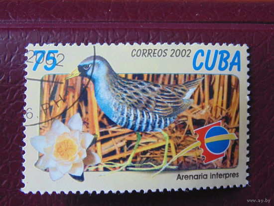 Куба 2002 г. Птицы.