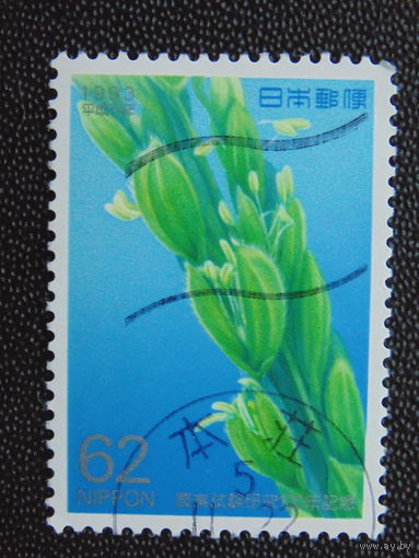 Япония 1993 г. Цветы.