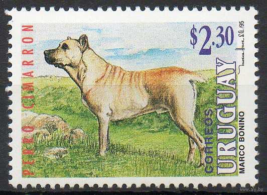 Фауна Собаки Уругвай 1995 год чистая серия из 1 марки (М)