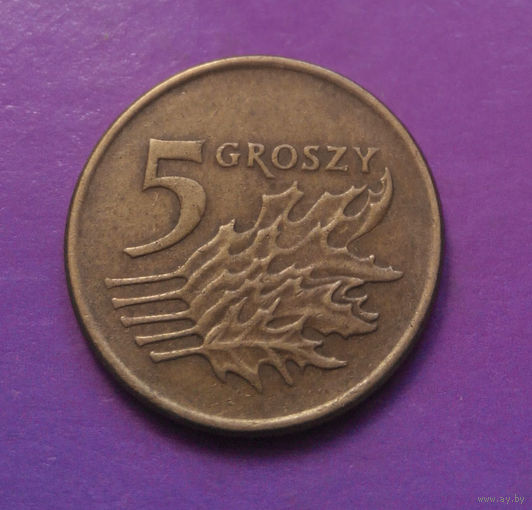 5 грошей 1991 Польша #07