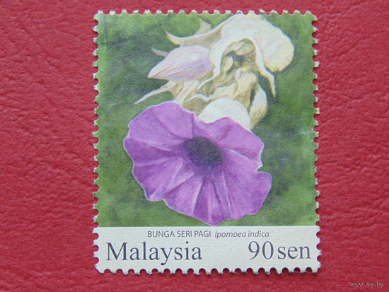 Малайзия. Цветы.